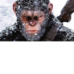 World of monkey war
