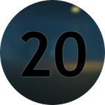 20 Badges
