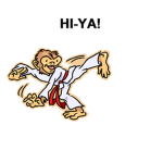 The Karate Chopping Team