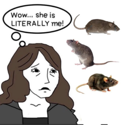 Rat Badge Walk