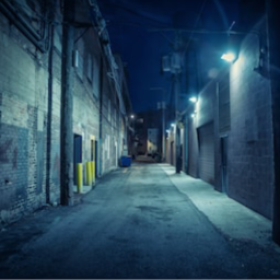 The Alley
