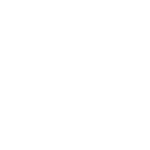 The Bridge Company