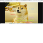 Doges' Fan Group