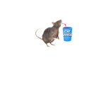 Gods rat hole
