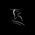 GFX Designs Cooperation