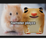 Hamsterplayzz