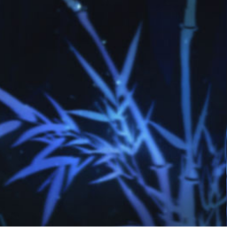 ⋆