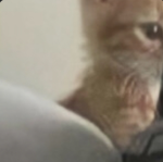 RobloxRulerz