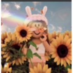 Sunflower's Home store