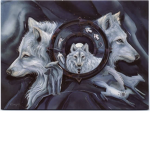 The Wolf Pack Powers