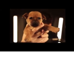If you like baby Yoda