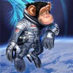space.monkeys