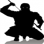 The Legendary Ninjas