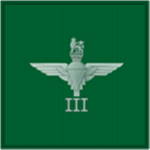 [ToW] 3rd Battalion, Parachute Regiment