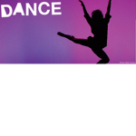 Star's To Shine Gymnastics & Dance Academy