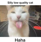 Silly_Goober Studios