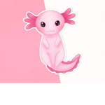 axolotl group(ウーパールーパーグループ)