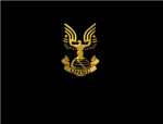 U.N.S.C. ODST