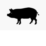 The Pig Squadron