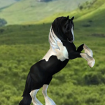 *•.Horse gang.•*