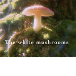The white mushrooms