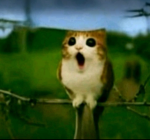 Justin want you to know that You know Fgteev