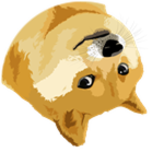 Low Gravity Doge