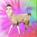❤️♔Da Llama Squad♔❤️