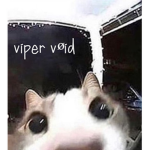 viper vøid