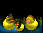 -DUCK BATCHES-