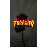KASHINN