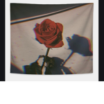 Rossxe
