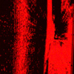 red world.