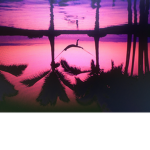 Aesthetic creative group