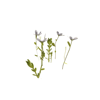 realistic flower mesh
