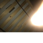 Facts and a robux