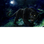 The BlackJetpanthers