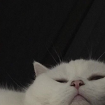 ffeiii