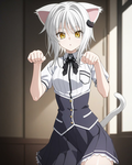 koneko - pmc