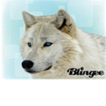 Wolf RPs