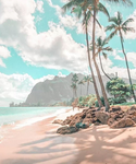 ~Tropical palm group~