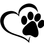 Dogs are AMAZING and so are you!