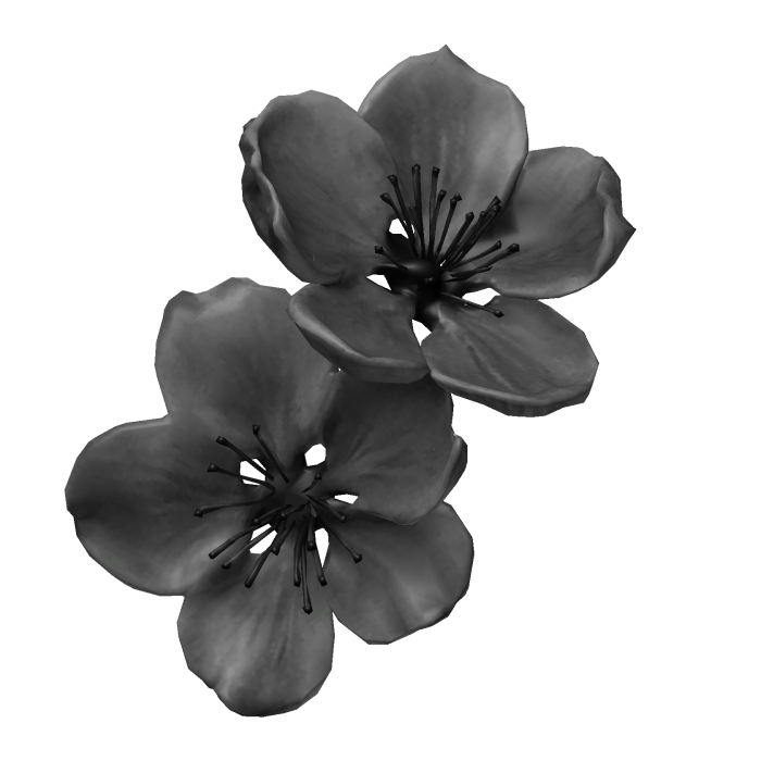  さくら sakura cherry blossom black flower clip