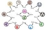 Eternal Elements (E.E)