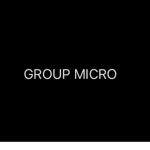 Micro staff