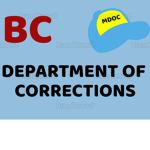 Baby County Metropolitan Department of Corrections