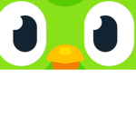 Dolingo group