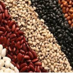 Beans, Beef, and Other Special Foods