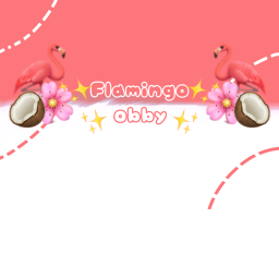 flamingo obby