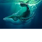 Ocean Animal Studios